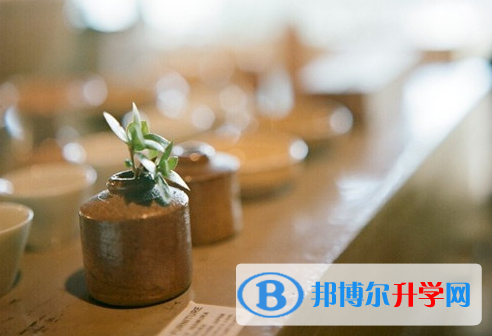  2020年麗江中考后可以上什么學校