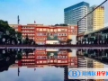 上海西南位育中學國際部2023年招生計劃