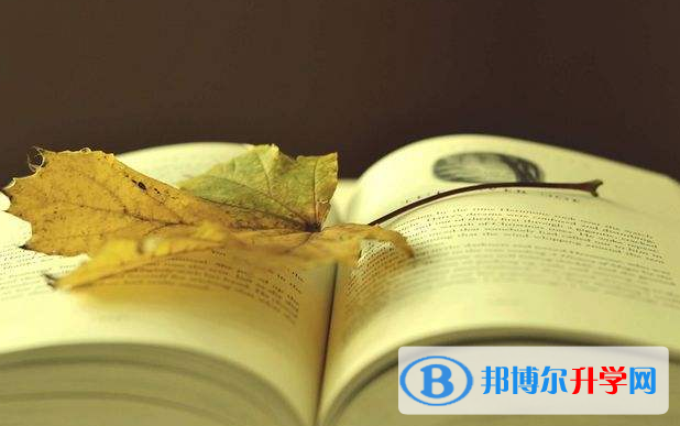 2020年思茅中考體育成績對照表