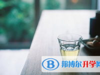 2020年臨滄中考網報