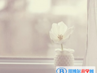 2020年臨滄中考網上報名系統