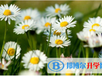2021年寶雞中考成績(jī)?nèi)绾尾樵? /><b>2021年寶雞中考成績(jī)?nèi)绾尾樵?/b><span>2020-09-23 16:14</span><p>人總是在經(jīng)過(guò)千錘百煉之后變得強(qiáng)大，所有在中考前大家也是經(jīng)過(guò)了備考的幾次模擬考試來(lái)鍛煉了膽量。中考是人生的必須選擇，那么為</p></a></h3></li>
<li><h3><a href=