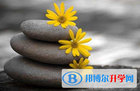  2021年寶雞中考報名系統