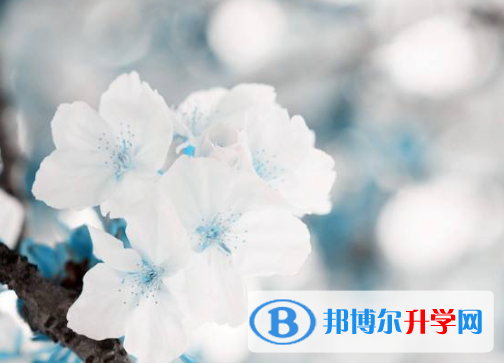 2021年寶雞中考網上報名系統