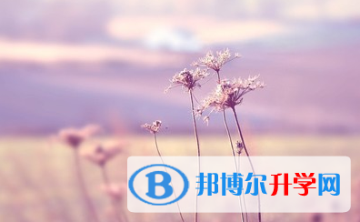  2021年寶雞中考網(wǎng)絡(luò)服務(wù)應(yīng)用平臺