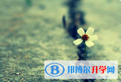  2021年寶雞中考網絡平臺