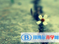 2021年寶雞中考網(wǎng)絡(luò)平臺(tái)