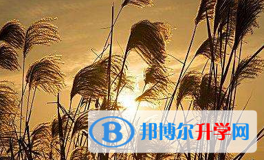  2021年寶雞中考招生網絡應用服務平臺