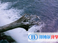 2021年寶雞中考報名學校