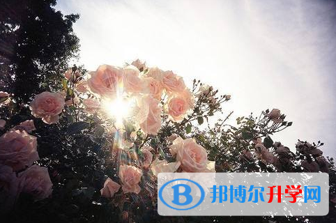  2021年寶雞中考生活注意事項