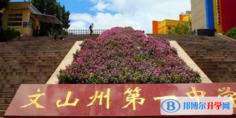 2021年文山中考自主招生報名有哪些學(xué)校