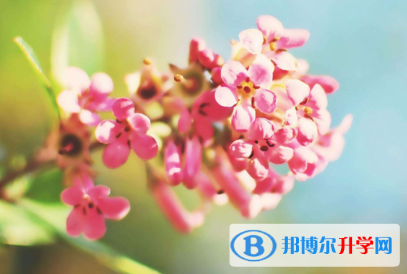 2021年寶雞中考準考證