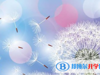 2021年寶雞中考報(bào)名自薦信怎么寫