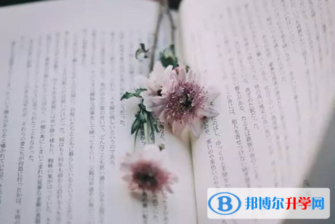 2021西雙版納中考453可以讀哪些學校