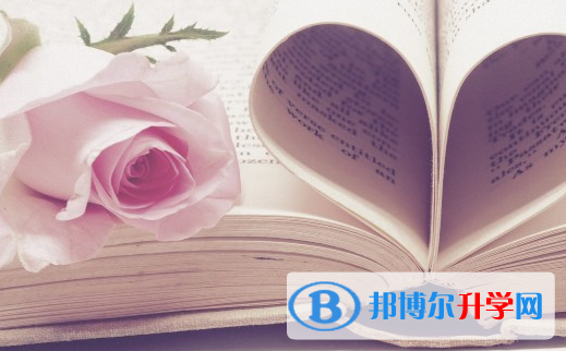 2021年大理中考查詢系統