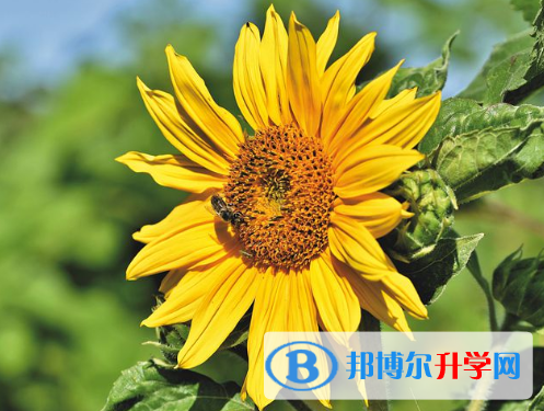 2021年迪慶中考成績查詢?nèi)肟? width=