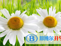 2021年宜賓中考成績查詢