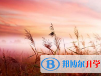 2021年宜賓中考報考指南
