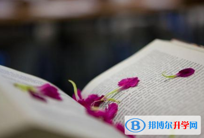 2021年廣安中考填志愿的網站