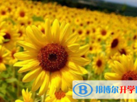 2021年廣元中考錄取報名網