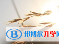 2021年宜賓中考查詢系統的密碼記不到了怎么辦