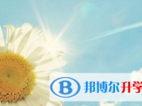 2021年宜賓中考服務(wù)應(yīng)用平臺