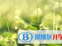 2021年宜賓中考志愿填報技巧