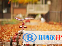2021年宜賓中考招生計(jì)劃查詢(xún)