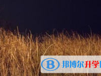 2021年宜賓中考招生考試查詢(xún)系統(tǒng)