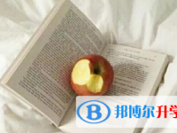 2021年宜賓中考網(wǎng)絡(luò)平臺(tái)
