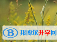 2021年宜賓中考網(wǎng)絡(luò)登錄