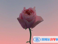 2021年廣元中考招生考試查詢系統