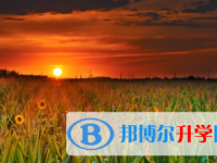 2021年宜賓中考372可以讀的學校