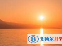 2021年宜賓中考453可以讀哪些學校