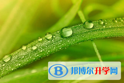 2021年渭南怎樣查詢(xún)中考成績(jī)