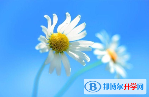 2021年廣元中考重點線