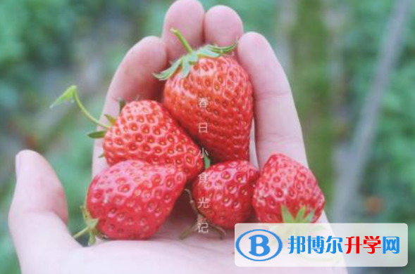 2021年廣元中考重點(diǎn)線錄取