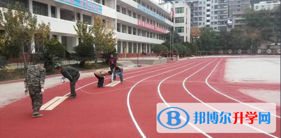 蒼溪縣歧坪中學(xué)網(wǎng)站網(wǎng)址 