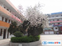 貴州省銅仁地區德江縣第二中學地址在哪里