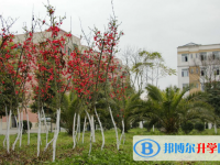 安縣秀水中學2025年招生代碼