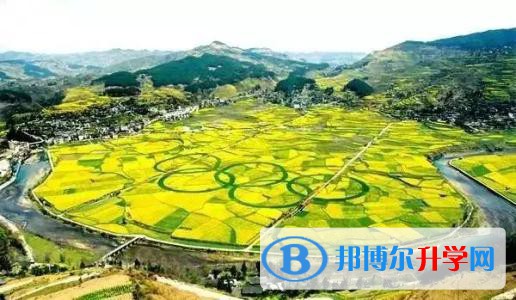 貴州開陽第四中學2022年網站網址