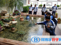 楚雄師院附中網站網址主頁