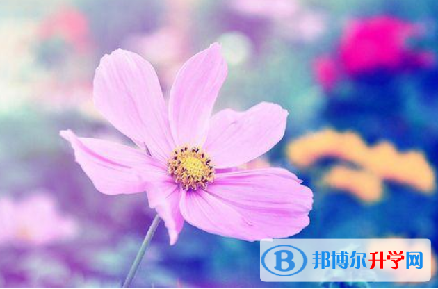2021年咸陽中考報名服務平臺