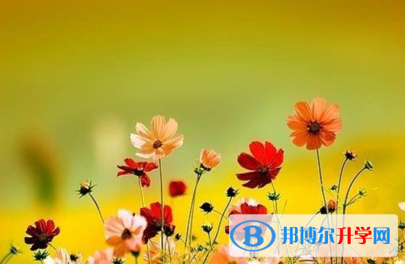 2021年咸陽中考的統招和調劑說明