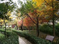 廣元市寶輪中學怎么樣、好不好