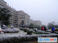 綿陽外國語學校2021年招生聯系電話