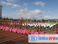 石林民族中學網站網址主頁