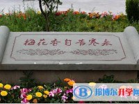 金川縣中學校怎么樣、好不好