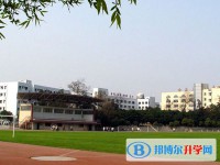 四川省綿陽南山中學2025年招生代碼