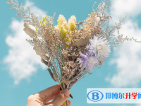 2021年廣元中考網(wǎng)上報(bào)名